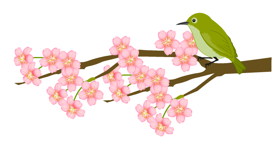 英語の悩み