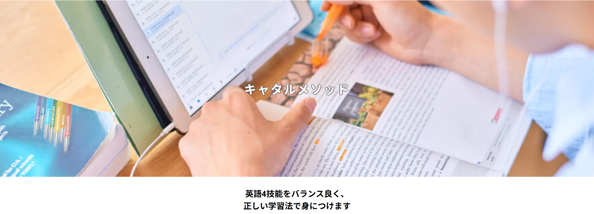 キャタルとは？基本情報と特徴